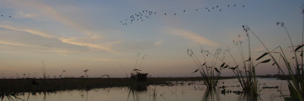 esquina-area-banner