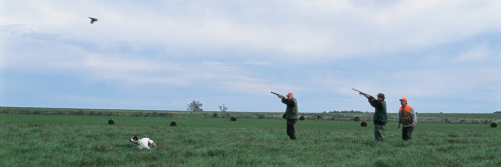 wsa-perdiz-hunting-banner
