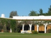 la-pelada-banner