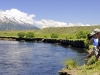 patagonia-trout-fishing-banner