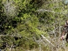 wsa-rate-and-res-banner