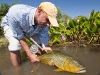 dorado-and-dove-lodge35