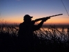 sunriseshot